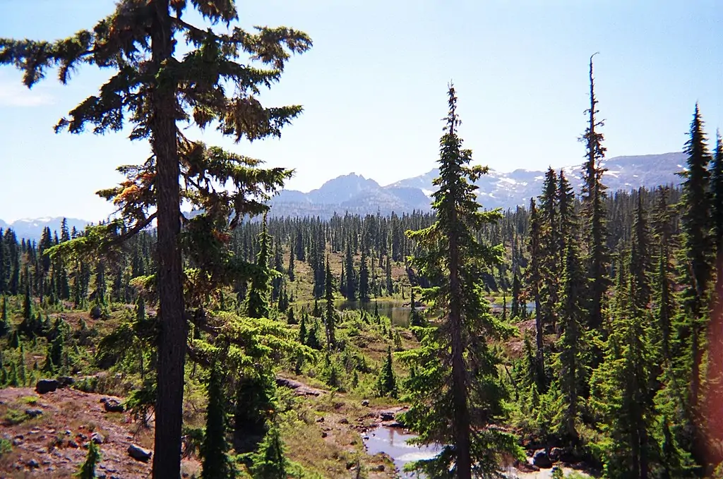 Strathcona Provincial Park