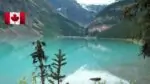 Результаты провинциальных иммиграционных программ Канады
