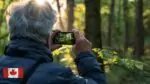 Канадцы заплатят штраф за видео в соцсетях