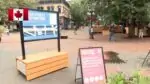 Движение в Ванкувере