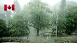 Погода в Альберте, Канада