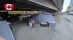 Беженцы в Канаде