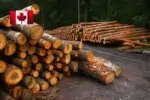 Канада под ударом: новые пошлины США грозят обрушить целую отрасль